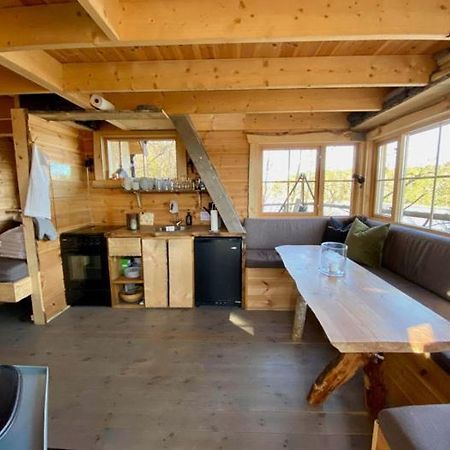 Tretopphytter Pa Grensen - Beverhytta Med Robat Og Gjeddefiske Halden Exterior foto